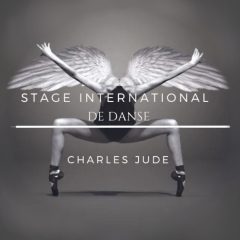 Visuel stage international Charles Julde